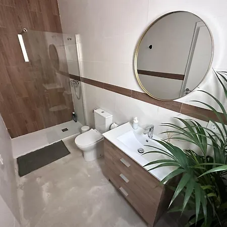 Euphorbia Appartement