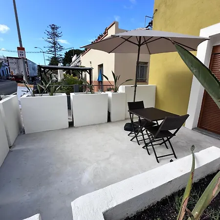 Euphorbia Appartement