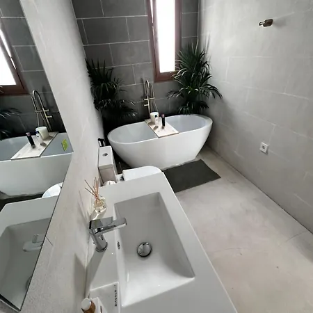 Euphorbia Apartment *